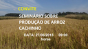 SEMINÁRIO SOBRE PRODUÇÃO DE ARROZ CACHINHO  